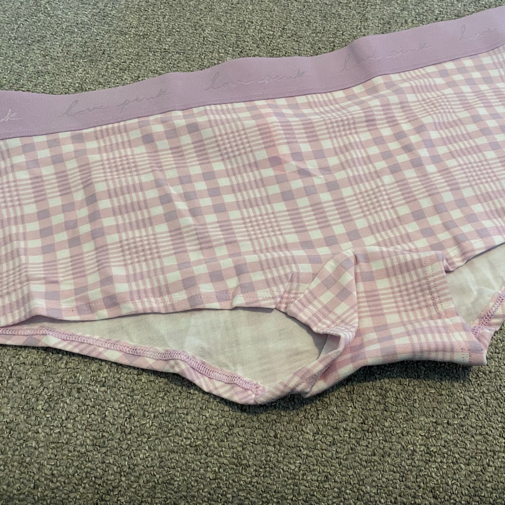 Victorias Secret Pink Panties 244